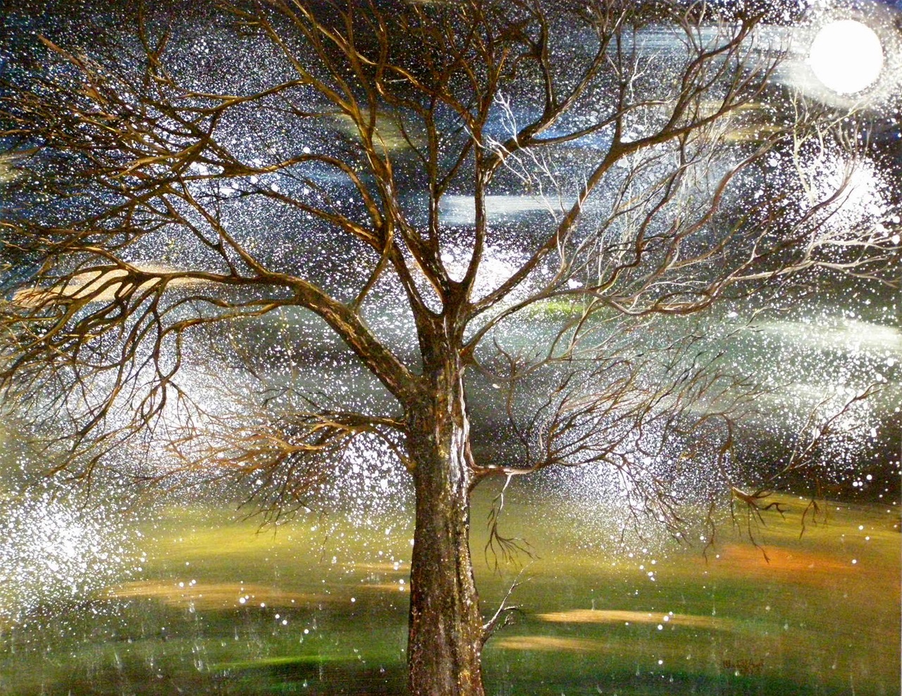  “L’albero della saggezza”
