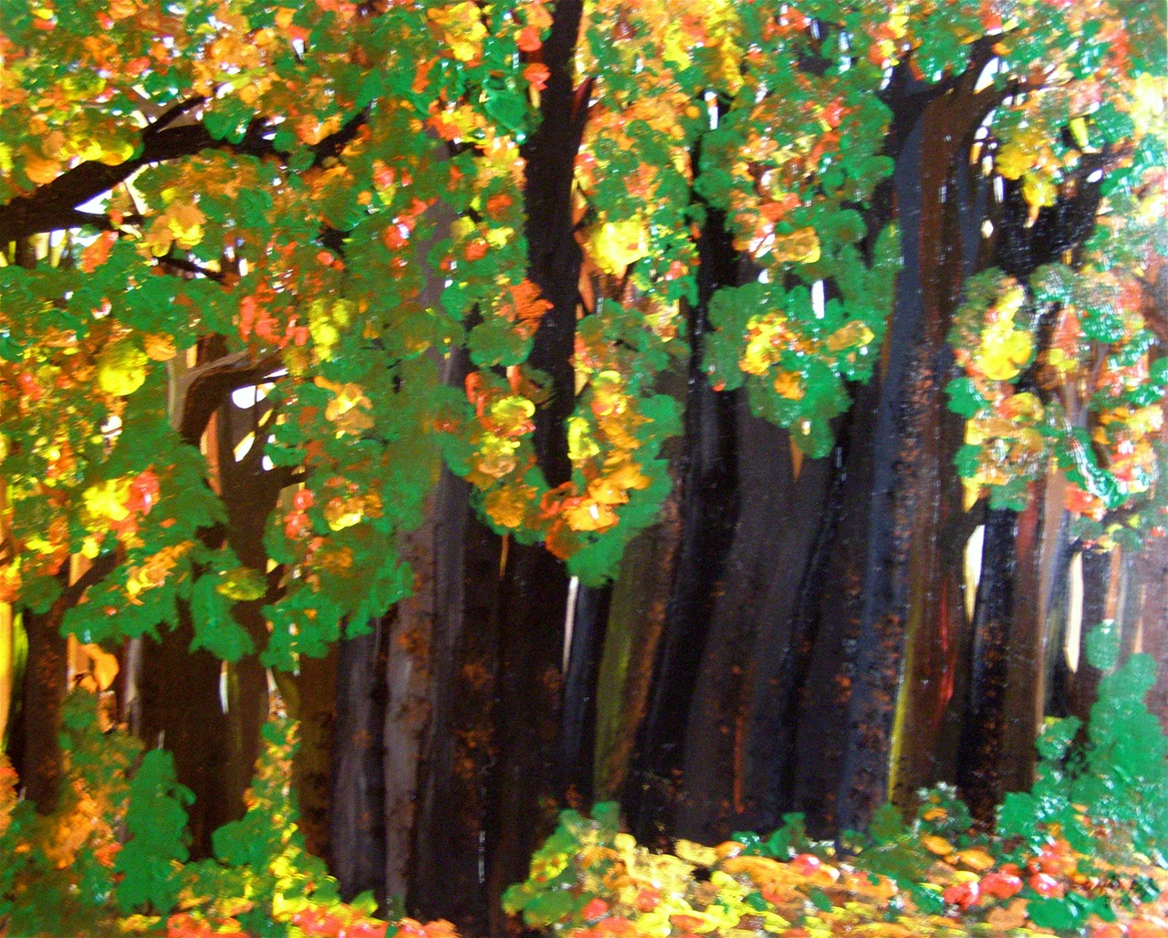 “Luci nel bosco”