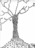 “L’albero della vita”
