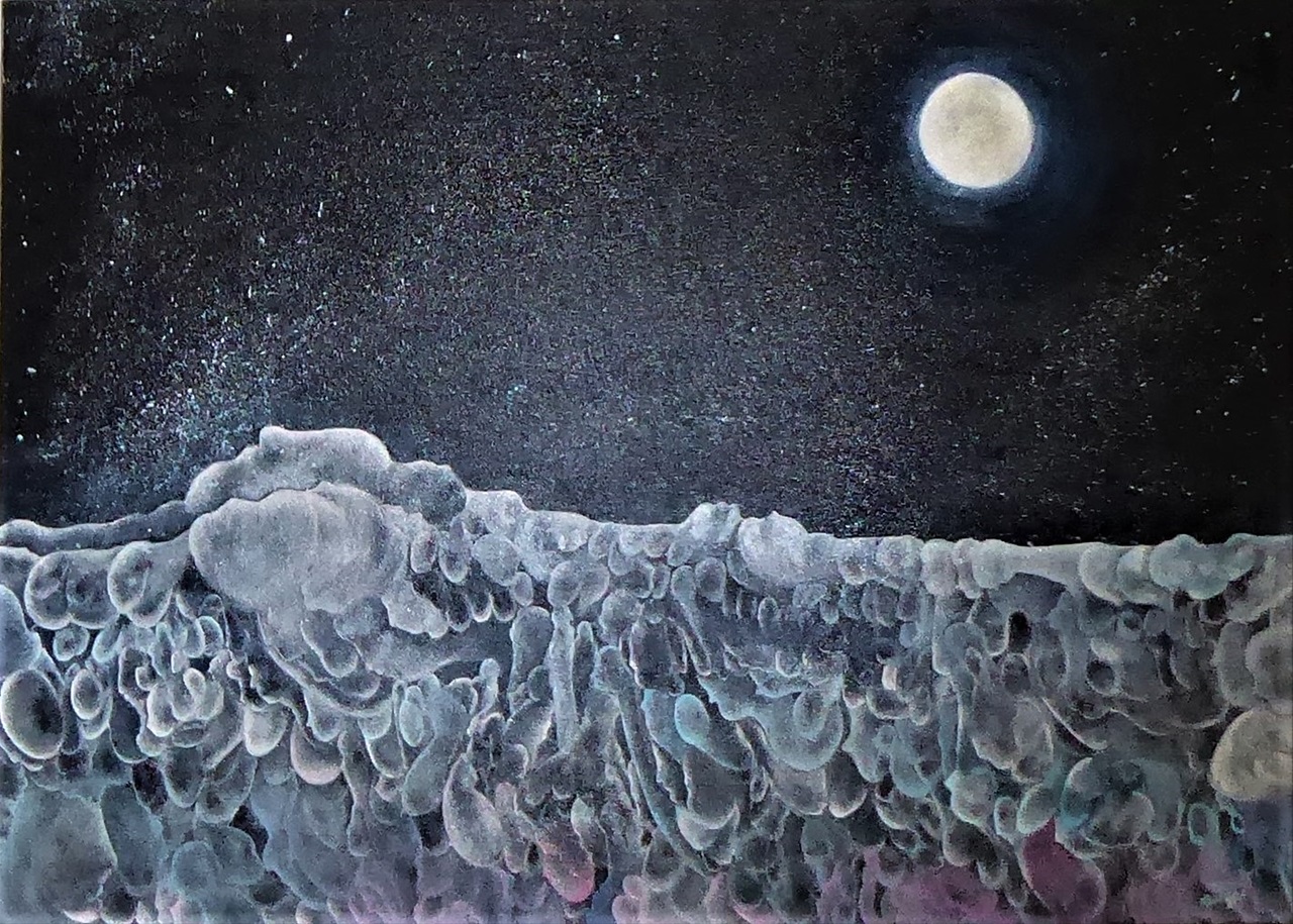 "Stelle tra le stelle"