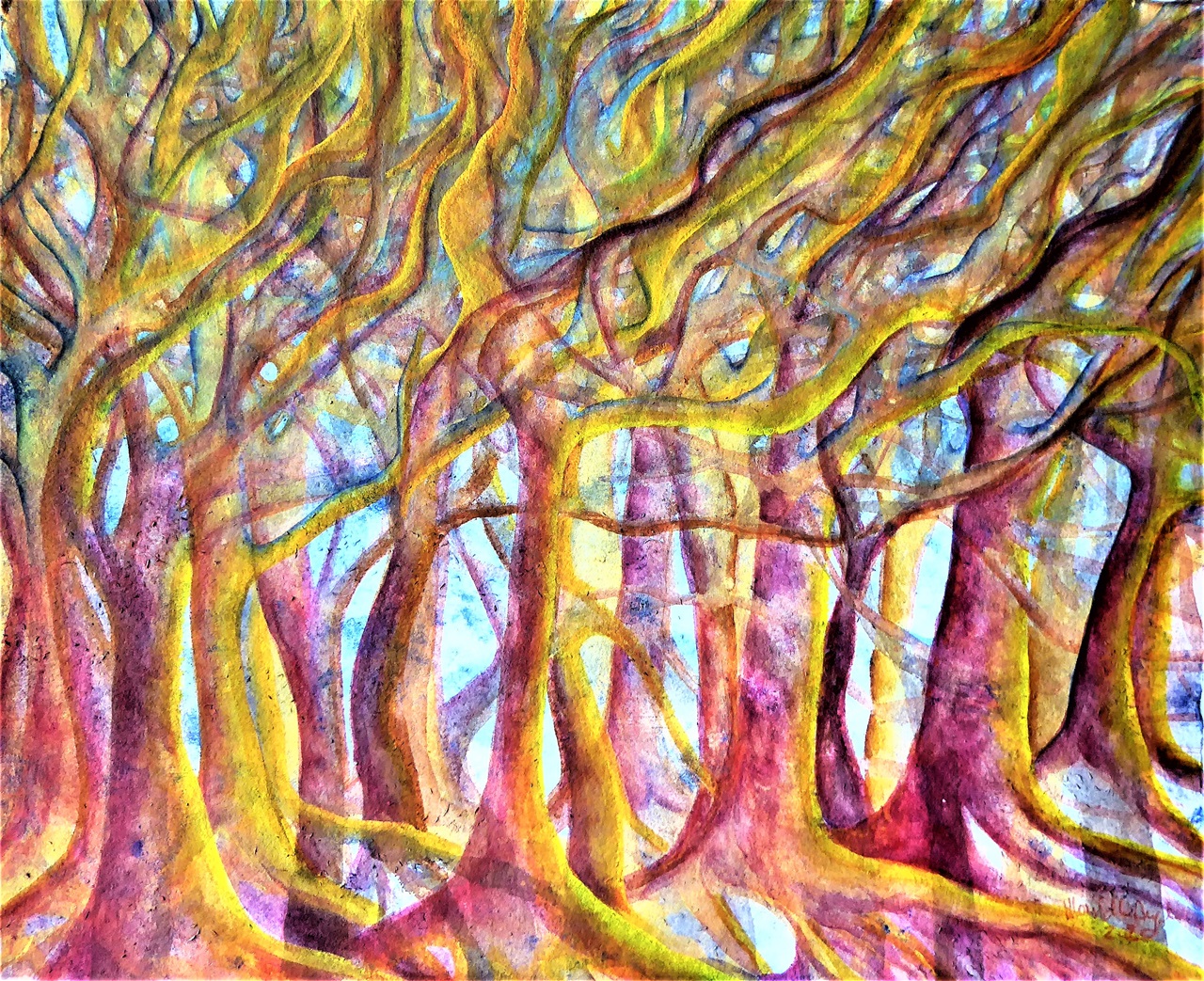 “Il bosco segreto”